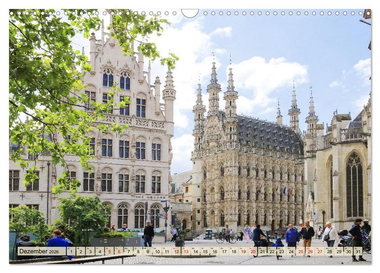 Produktbild: Bezauberndes L&ouml;wen in Belgien (Wandkalender 2026 DIN A3 quer), CALVENDO Monatskalender