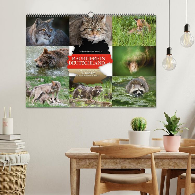 Produktbild: Emotionale Momente: Raubtiere in Deutschland (Wandkalender 2026 DIN A2 quer), CALVENDO Monatskalender