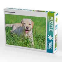 Produktbild: CALVENDO Puzzle Auf Entdeckungsreise | 1000 Teile Lege-Gr&ouml;&szlig;e 64x48cm Foto-Puzzle f&uuml;r gl&uuml;ckliche Stunden