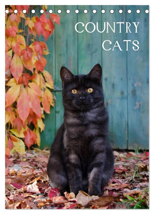 Produktbild: COUNTRY CATS (Tischkalender 2026 DIN A5 hoch), CALVENDO Monatskalender