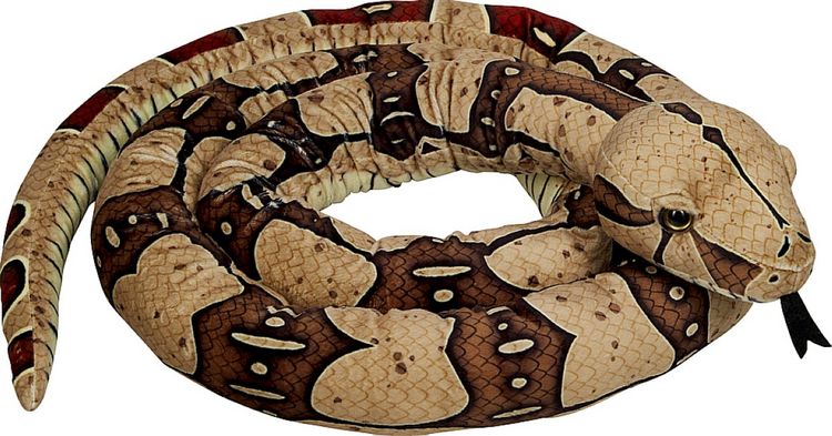 Produktbild: Boa constrictor / Nature Zoom