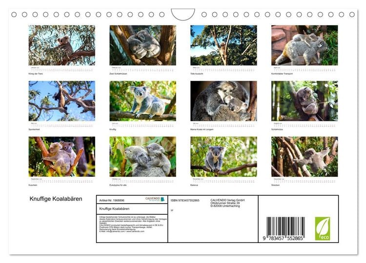 Produktbild: Knuffige Koalab&auml;ren (Wandkalender 2026 DIN A4 quer), CALVENDO Monatskalender