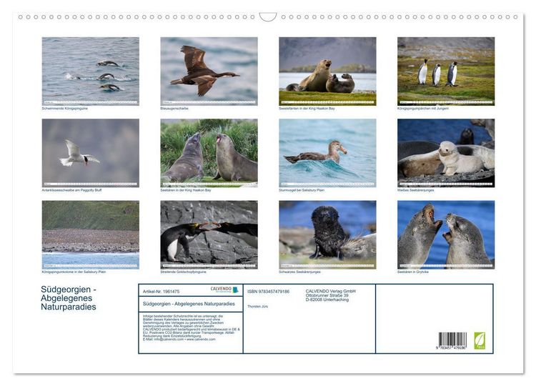 Produktbild: S&uuml;dgeorgien - Abgelegenes Naturparadies (Wandkalender 2026 DIN A2 quer), CALVENDO Monatskalender
