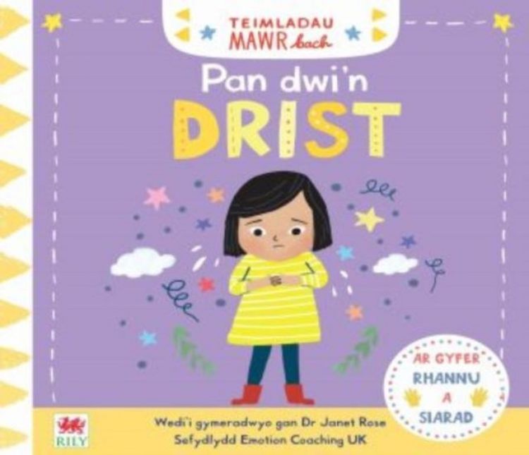 Produktbild: Teimladau Mawr Bach: Pan Dwi'n Drist