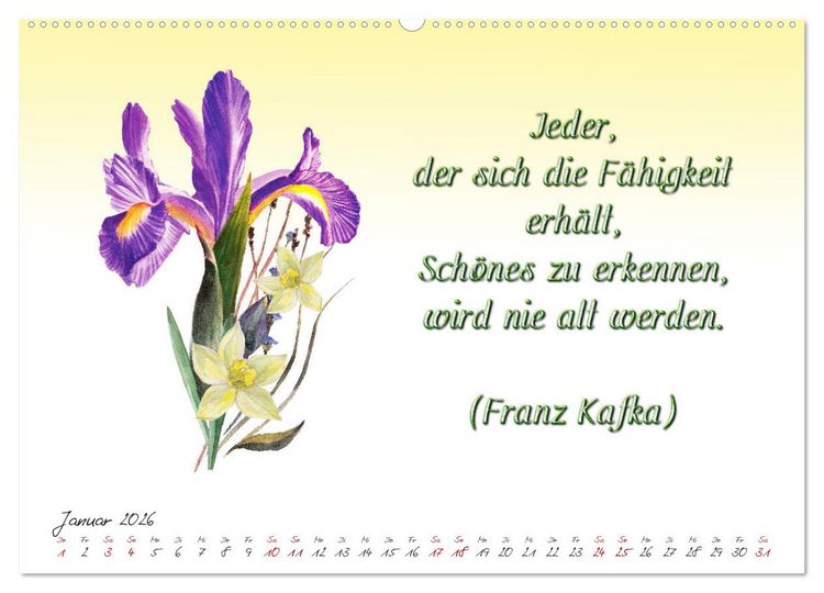Produktbild: 12 unterhaltsame Zitate f&uuml;r ein sch&ouml;nes Jahr (Wandkalender 2026 DIN A2 quer), CALVENDO Monatskalender