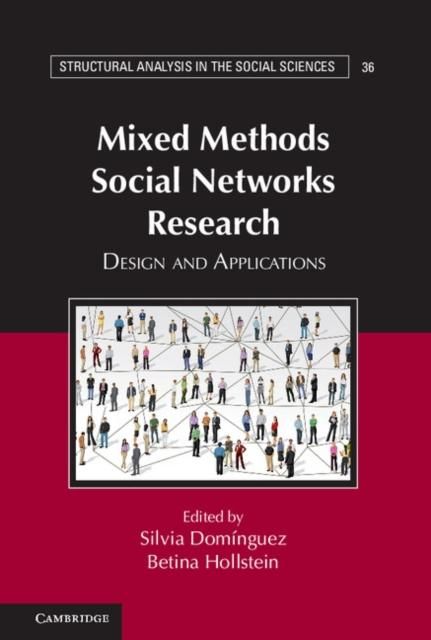 Produktbild: Mixed Methods Social Networks Research