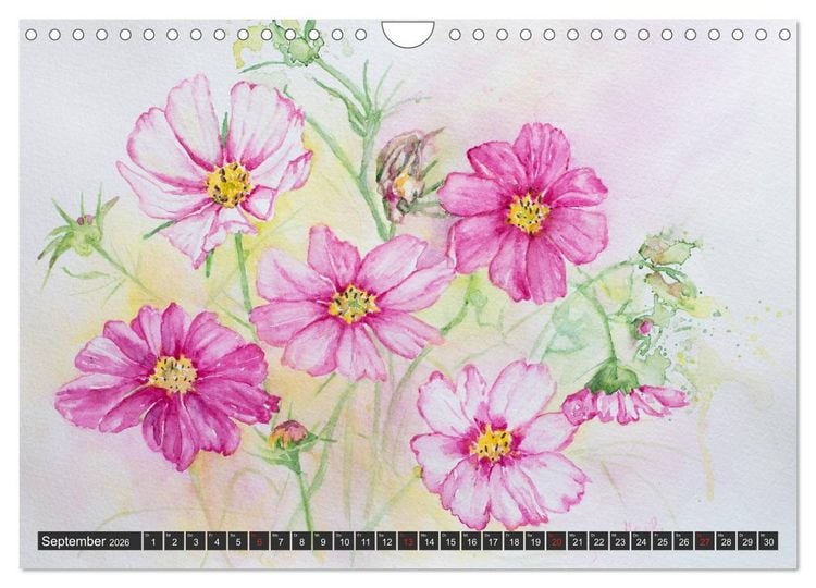 Produktbild: Blumenbilder in Aquarell (Wandkalender 2026 DIN A4 quer), CALVENDO Monatskalender