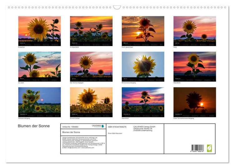 Produktbild: Blumen der Sonne (Wandkalender 2026 DIN A2 quer), CALVENDO Monatskalender