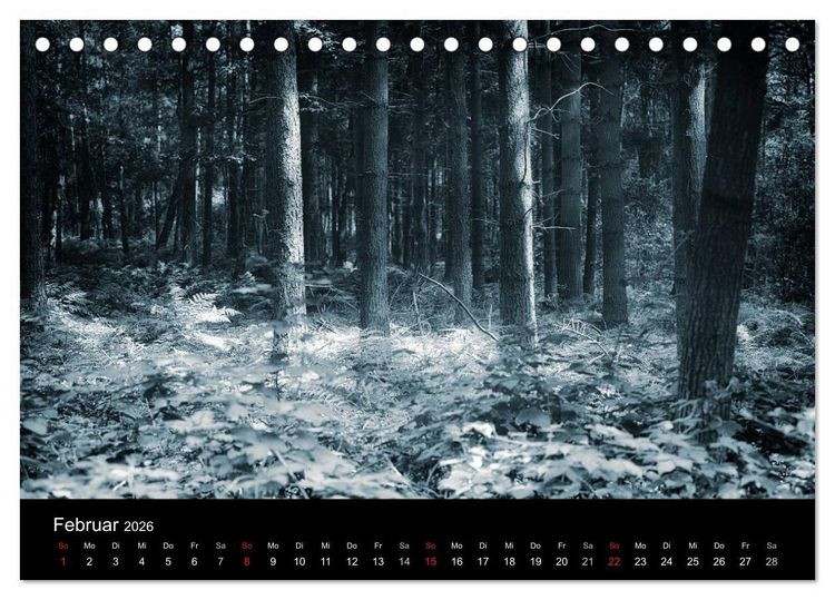Produktbild: Mystische W&auml;lder (Tischkalender 2026 DIN A5 quer), CALVENDO Monatskalender