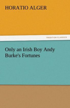 Produktbild: Only an Irish Boy Andy Burke's Fortunes