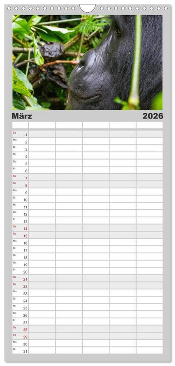 Produktbild: Familienplaner 2026 - Gorillas ohne Nebel mit 5 Spalten (Wandkalender, 21 x 45 cm) CALVENDO