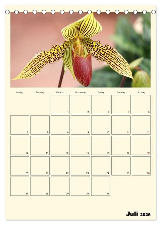 Produktbild: Orchideentr&auml;ume (Tischkalender 2026 DIN A5 hoch), CALVENDO Monatskalender