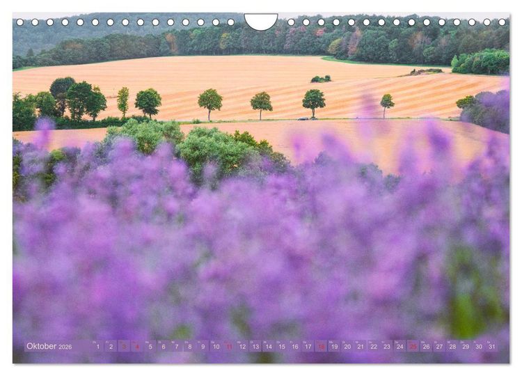 Produktbild: Natursch&ouml;nheiten - mit Bl&uuml;ten und Pflanzen durch das Jahr (Wandkalender 2026 DIN A4 quer), CALVENDO Monatskalender