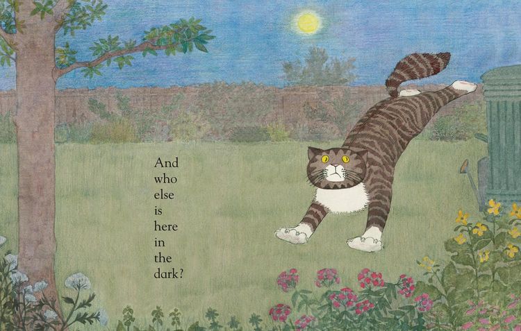 Produktbild: Mog in the Dark