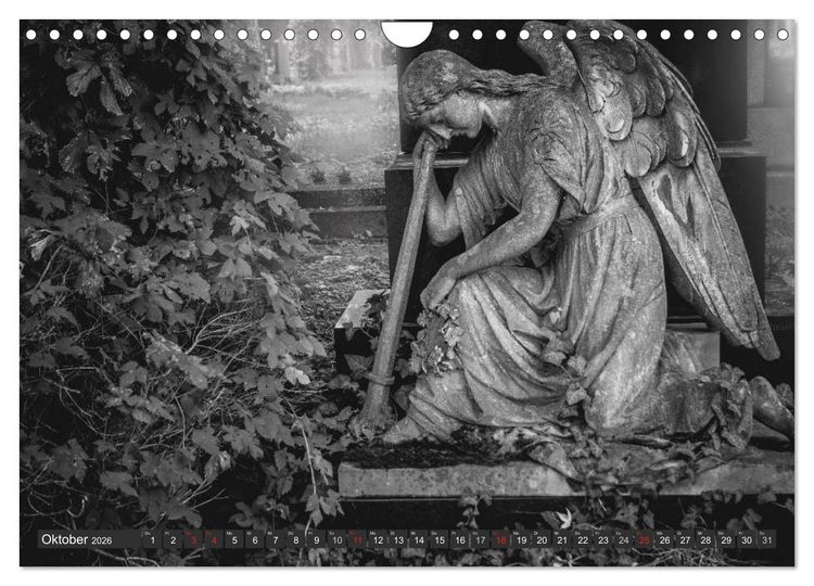 Produktbild: Morbide Zeitzeugen - Orte der Verg&auml;nglichkeit (Wandkalender 2026 DIN A4 quer), CALVENDO Monatskalender