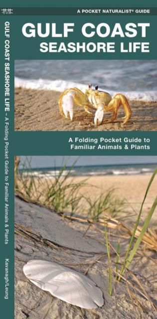 Produktbild: Gulf Coast Seashore Life