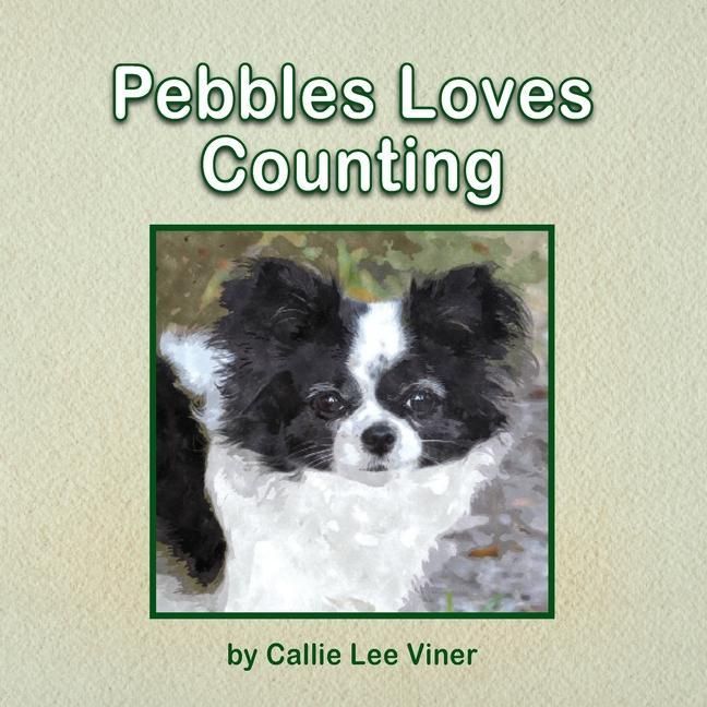 Produktbild: Pebbles Loves Counting