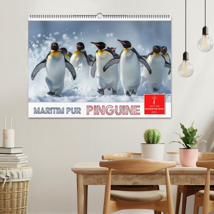 Produktbild: Maritim pur - Pinguine (Wandkalender 2026 DIN A2 quer), CALVENDO Monatskalender