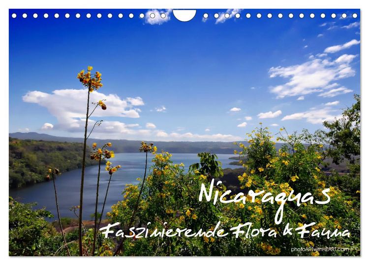 Produktbild: Nicaraguas faszinierende Flora & Fauna (Wandkalender 2026 DIN A4 quer), CALVENDO Monatskalender