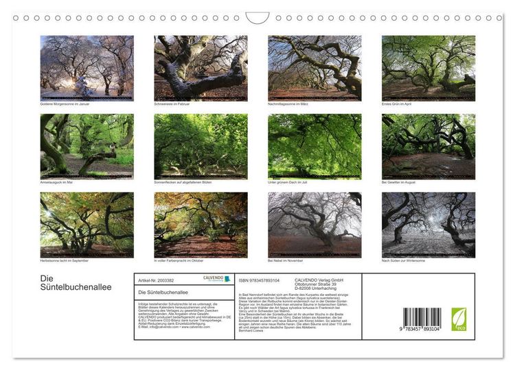 Produktbild: Die S&uuml;ntelbuchenallee (Wandkalender 2026 DIN A3 quer), CALVENDO Monatskalender
