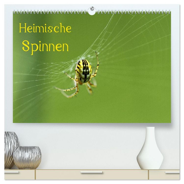 Produktbild: Heimische Spinnen (hochwertiger Premium Wandkalender 2026 DIN A2 quer), Kunstdruck in Hochglanz