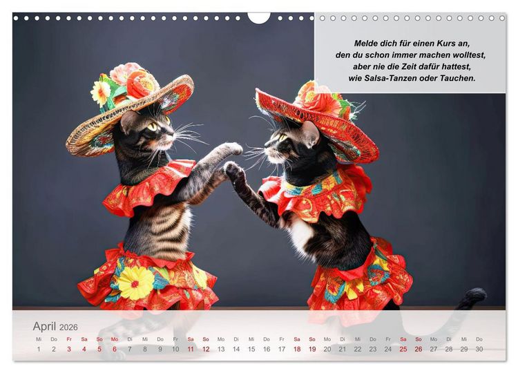Produktbild: Endlich erfolgreich geschieden (Wandkalender 2026 DIN A3 quer), CALVENDO Monatskalender