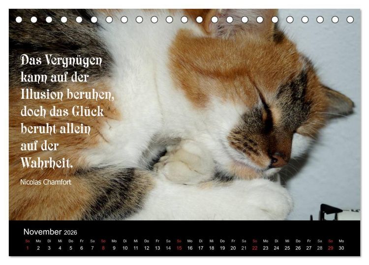 Produktbild: Gl&uuml;ckskatze - Mit Zitaten zum Thema Gl&uuml;ck (Tischkalender 2026 DIN A5 quer), CALVENDO Monatskalender