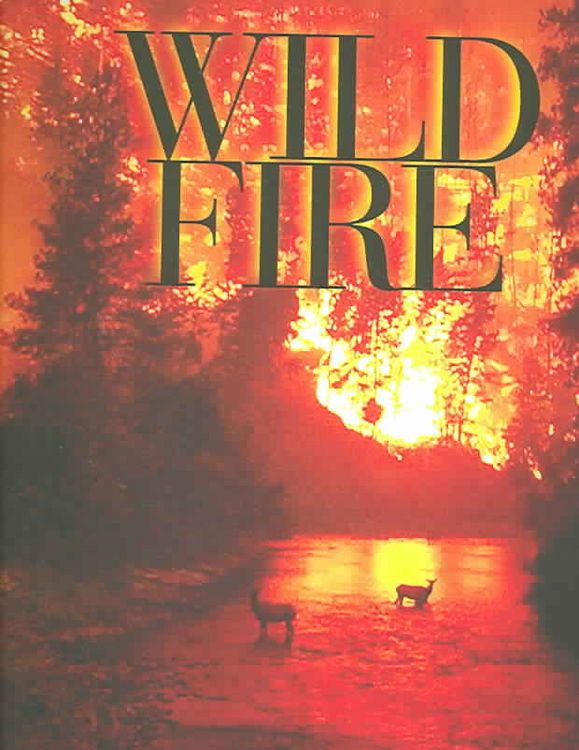 Produktbild: Wildfire