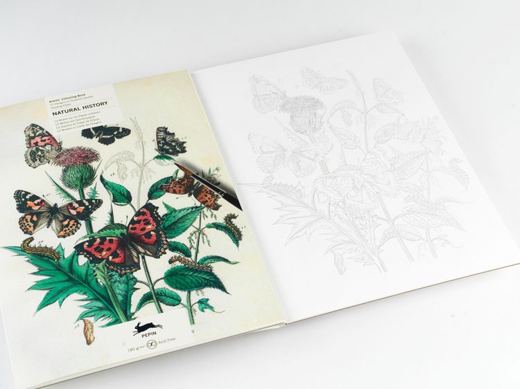 Produktbild: Natural History