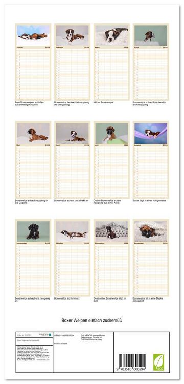 Produktbild: Familienplaner 2026 - Boxer Welpen einfach zuckers&uuml;&szlig; mit 5 Spalten (Wandkalender, 21 x 45 cm) CALVENDO