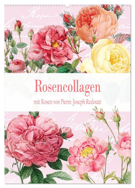 Produktbild: Rosencollagen mit Rosen von Pierre-Joseph Redout&eacute; (Wandkalender 2026 DIN A2 hoch), CALVENDO Monatskalender
