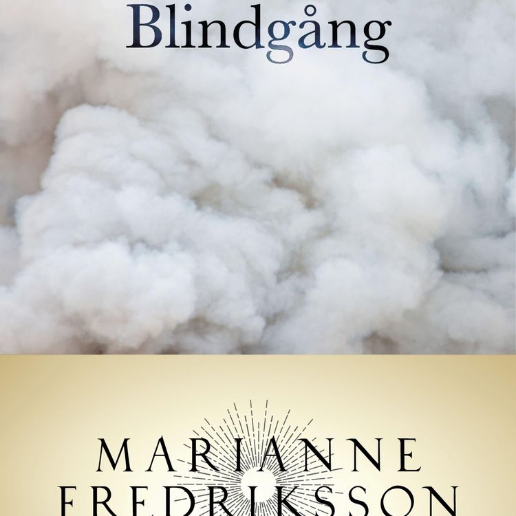Produktbild: Blindg&aring;ng