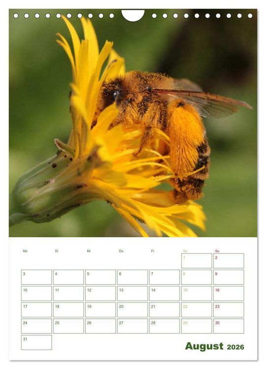 Produktbild: Bienen-Terminplaner 2026 (Wandkalender 2026 DIN A4 hoch), CALVENDO Monatskalender