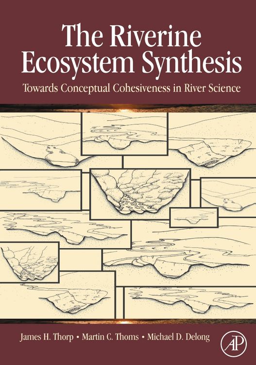 Produktbild: The Riverine Ecosystem Synthesis
