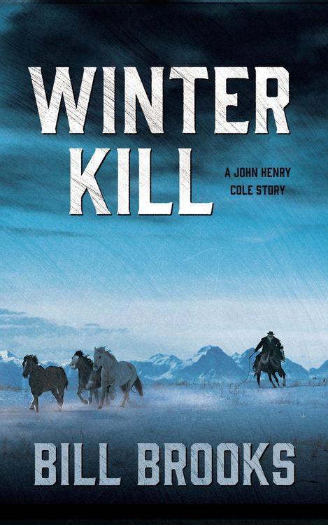 Produktbild: Winter Kill