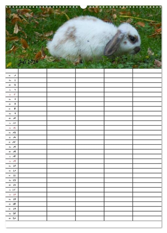 Produktbild: Meerschweinchen und Kaninchen Familienplaner (hochwertiger Premium Wandkalender 2026 DIN A2 hoch), Kunstdruck in Hochglanz