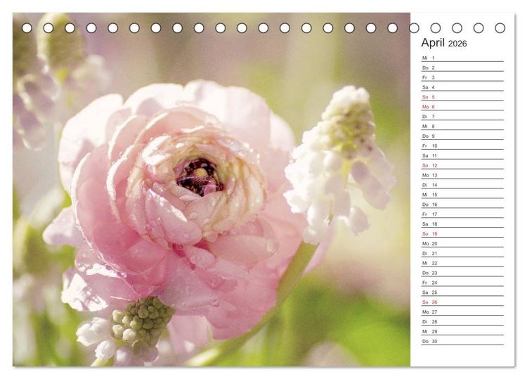 Produktbild: Blumenfreude Terminkalender (Tischkalender 2026 DIN A5 quer), CALVENDO Monatskalender
