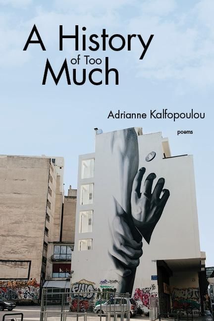 Produktbild: A History of Too Much