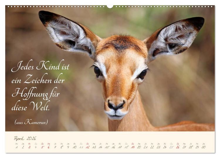 Produktbild: AFRIKA mit einem Hauch von Poesie (Wandkalender 2026 DIN A2 quer), CALVENDO Monatskalender