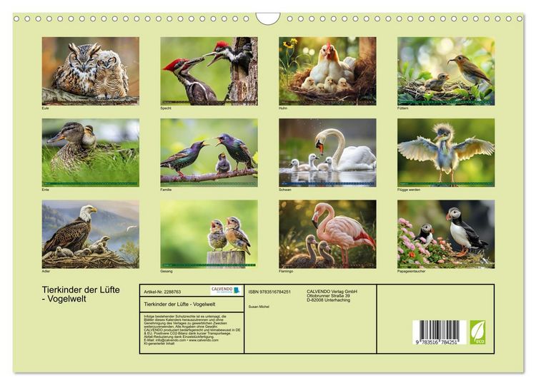 Produktbild: Tierkinder der L&uuml;fte - Vogelwelt (Wandkalender 2027 DIN A3 quer), CALVENDO Monatskalender