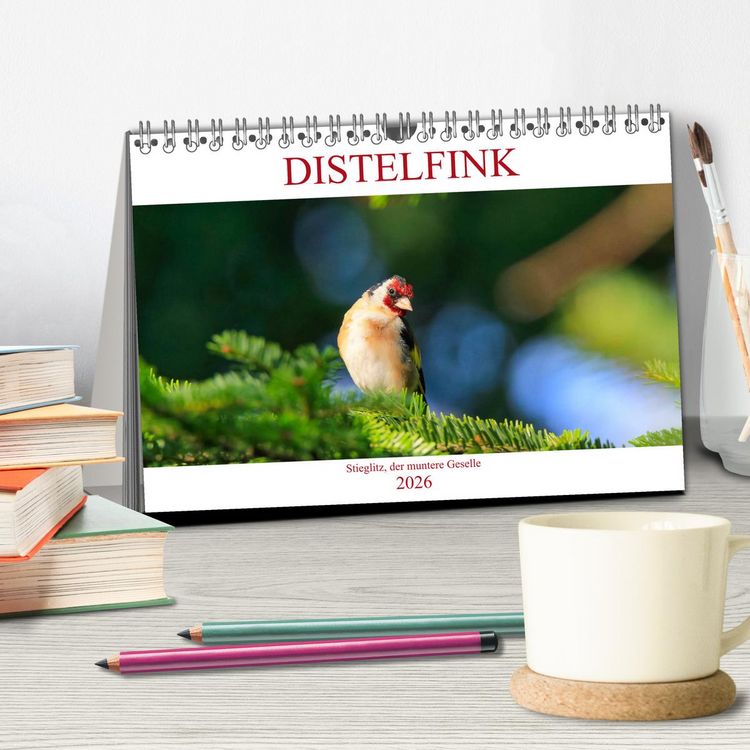 Produktbild: Distelfink (Tischkalender 2026 DIN A5 quer), CALVENDO Monatskalender