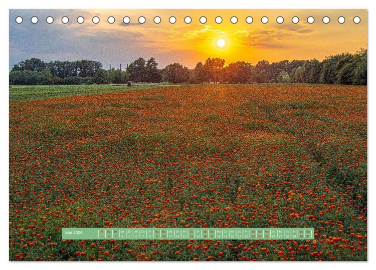 Produktbild: Wolfsburgs sch&ouml;nste Ecken (Tischkalender 2026 DIN A5 quer), CALVENDO Monatskalender