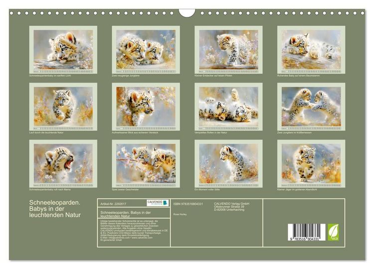 Produktbild: Schneeleoparden. Babys in der leuchtenden Natur (Wandkalender 2027 DIN A3 quer), CALVENDO Monatskalender