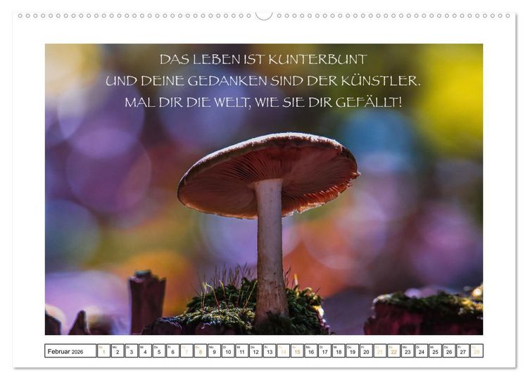 Produktbild: Spruch verliebt (hochwertiger Premium Wandkalender 2026 DIN A2 quer), Kunstdruck in Hochglanz