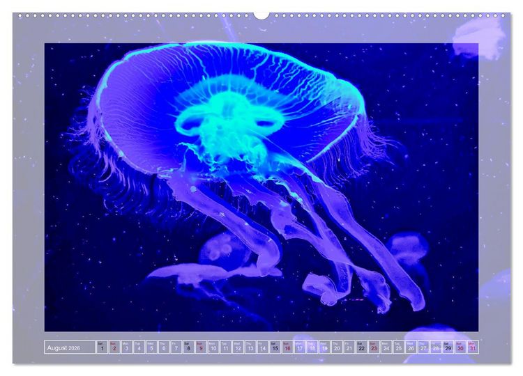 Produktbild: In the world of the medusae (Wall Calendar 2026 DIN A2 landscape), CALVENDO 12 Month Wall Calendar