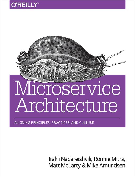 Produktbild: Microservice Architecture