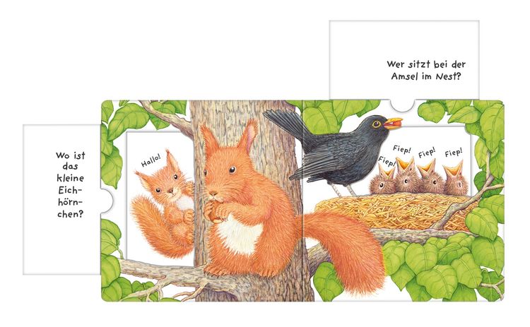 Produktbild: Tierkinder, wo seid ihr?