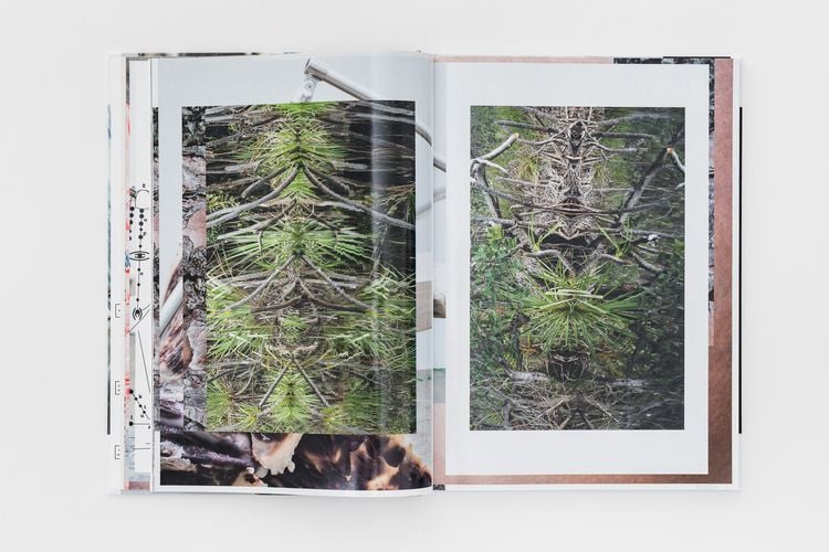 Produktbild: Sophie Hirsch