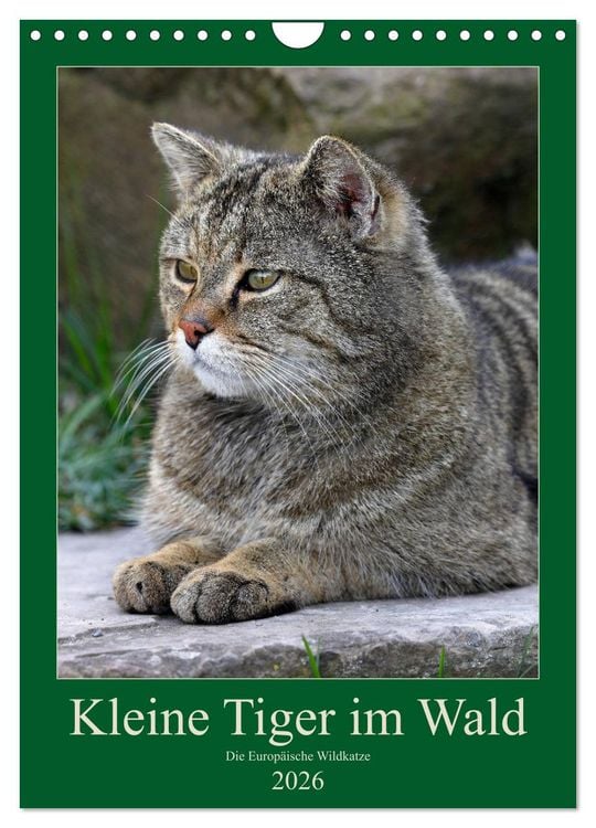 Produktbild: Kleine Tiger im Wald (Wandkalender 2026 DIN A4 hoch), CALVENDO Monatskalender