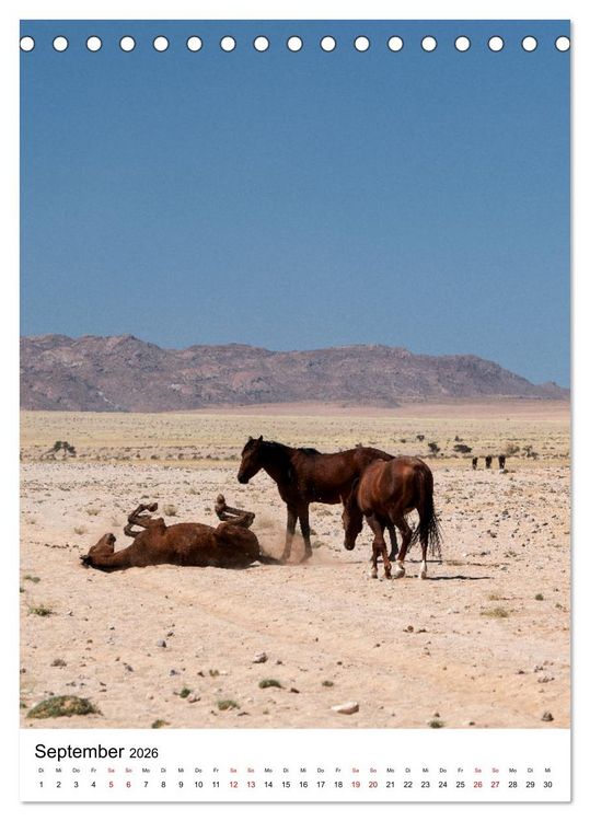 Produktbild: Naturparadies Namibia (Tischkalender 2026 DIN A5 hoch), CALVENDO Monatskalender